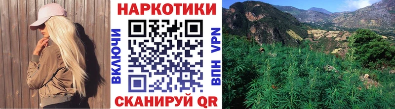 Какие есть наркотики Можайск А ПВП Кетамин hydra рабочий сайт Бошки Шишки МЕФ Гашиш