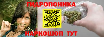 шишки Гусь-Хрустальный