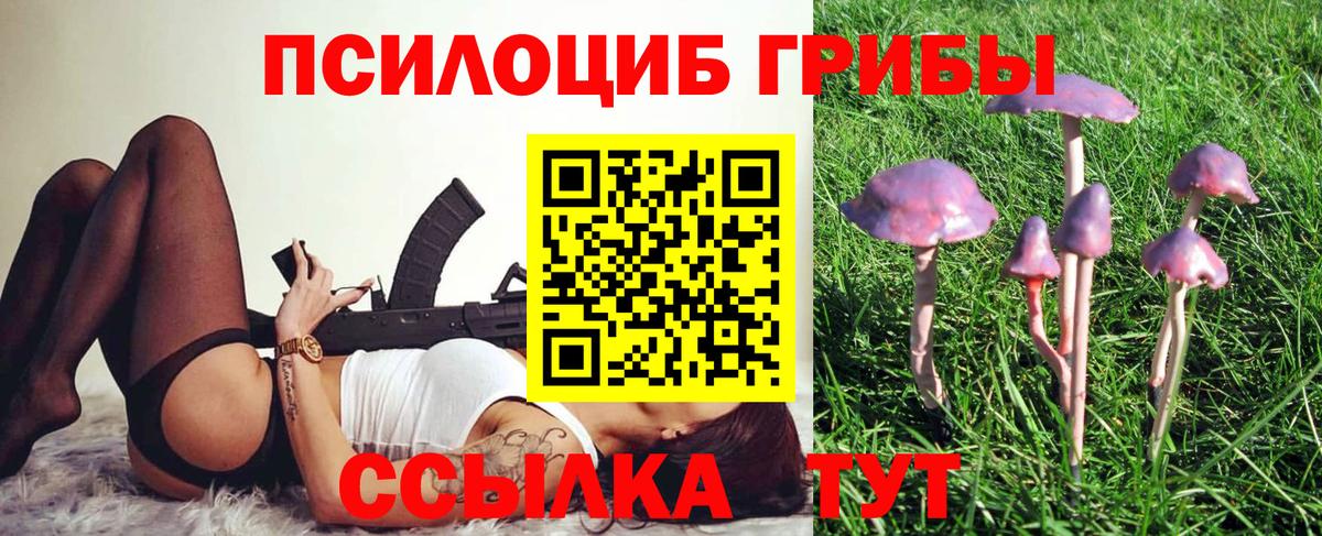 Псилоцибиновые грибы прущие грибы  Можайск 