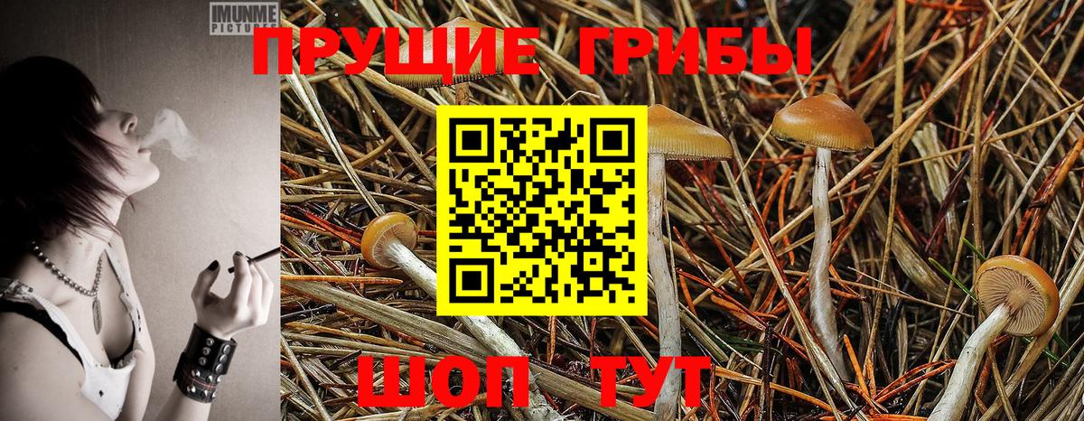 Псилоцибиновые грибы Psilocybine cubensis  Вход с VPN  Можайск  Галлюциногенные грибы ЛСД 