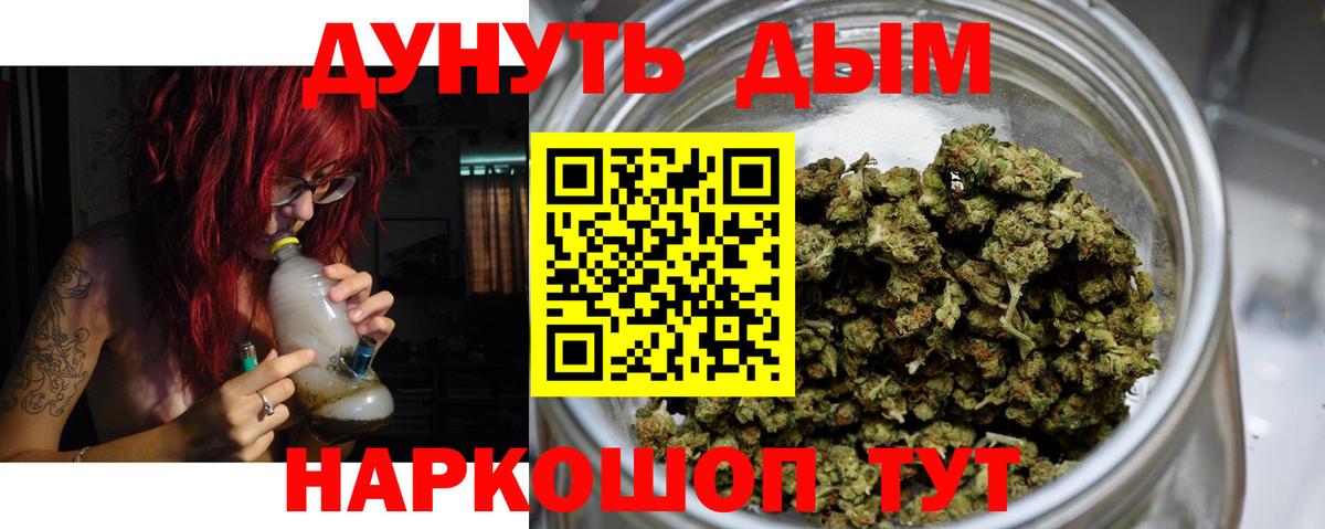 Марихуана сатива  Можайск  Канабис конопля 